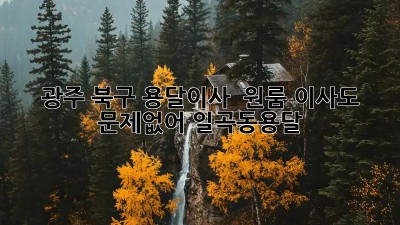광주 북구 용달이사 🚚 원룸 이사도 문제없어! #일곡동용달