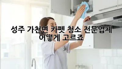 성주 가천면 카펫 청소 전문업체, 어떻게 고르죠?